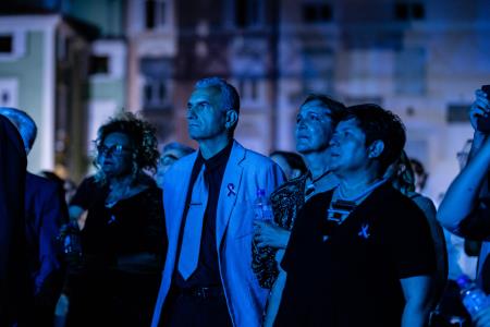 Dan drzˇavnosti, SIDDHARTA-32